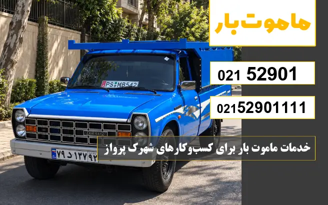 خدمات ماموت بار برای کسب‌وکارهای شهرک پرواز ماموت بار